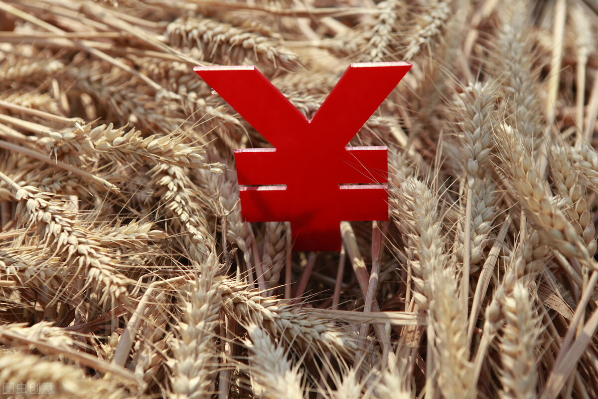 小麦价格行情突变，拍卖大幅流拍，能否阻止小麦大涨？3月9日粮价