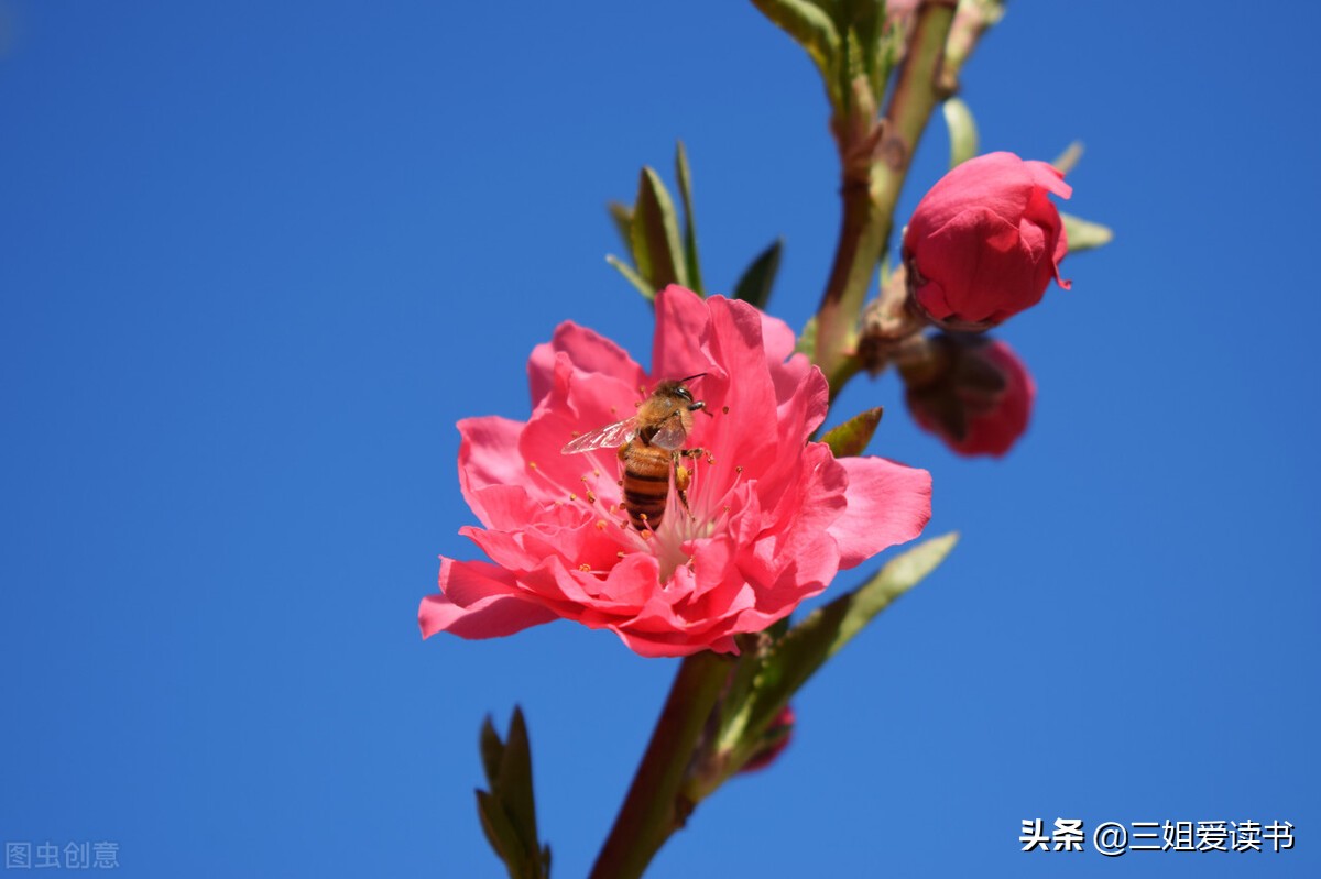 疲惫的生活，总需要一些温柔的安慰