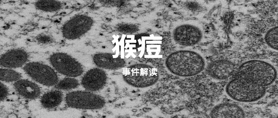 重大事件解读｜猴痘，以及公司