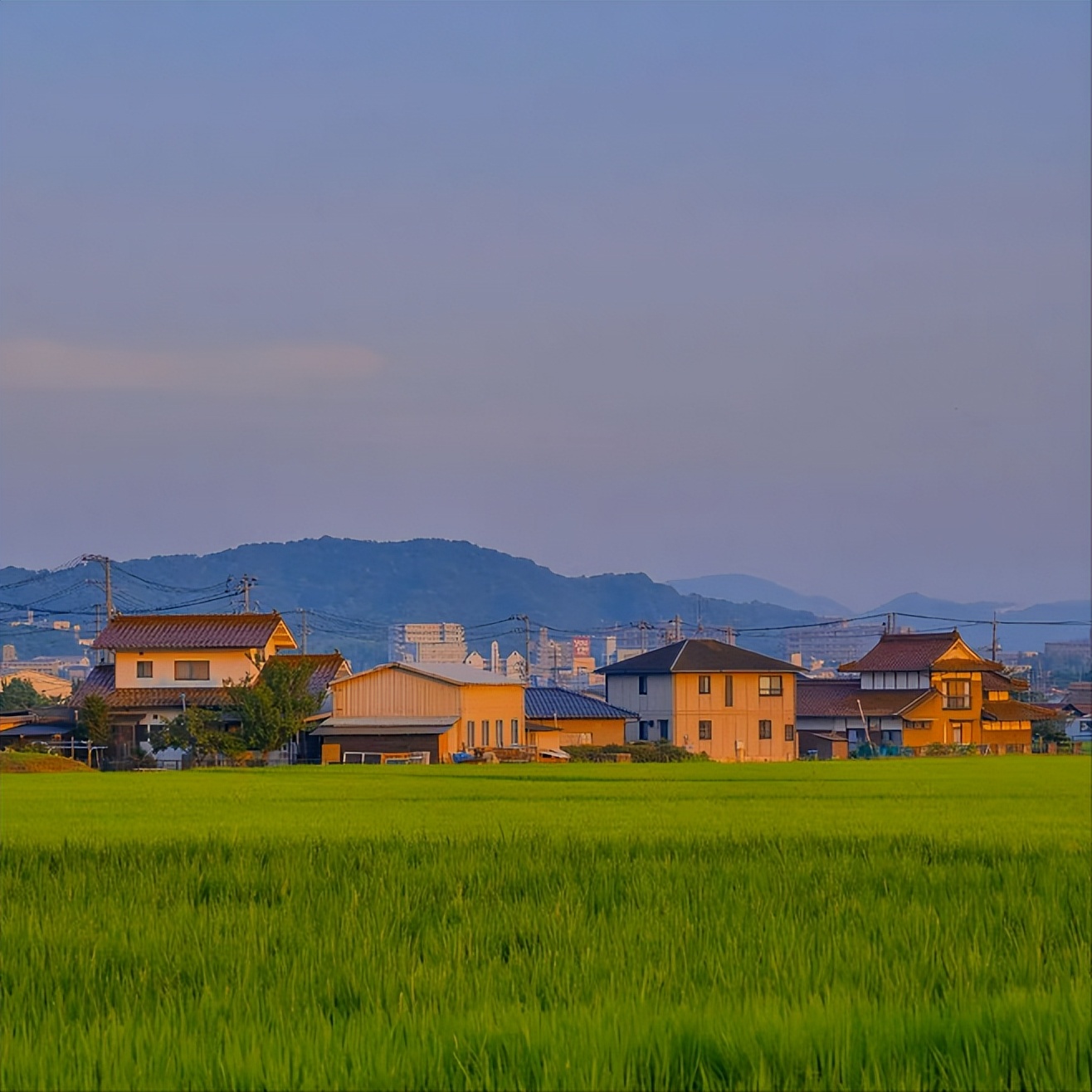 黄昏时，最适合发朋友圈的50句绝美诗句（建议收藏）