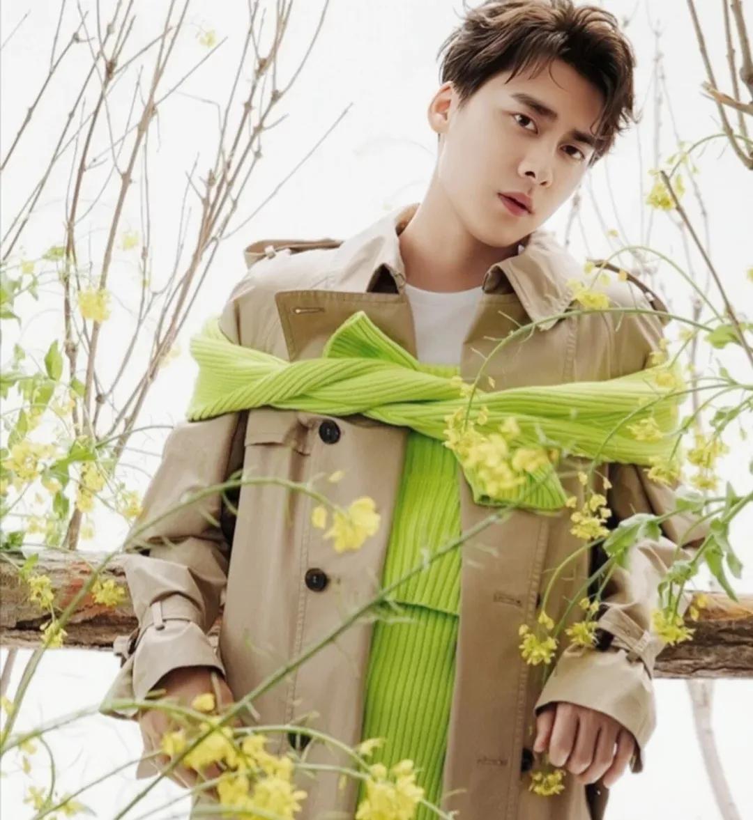 娱乐八卦 赵露思 白鹿 王楚然 袁冰妍 龚俊 赵丽颖 张睿 李易峰 周震南