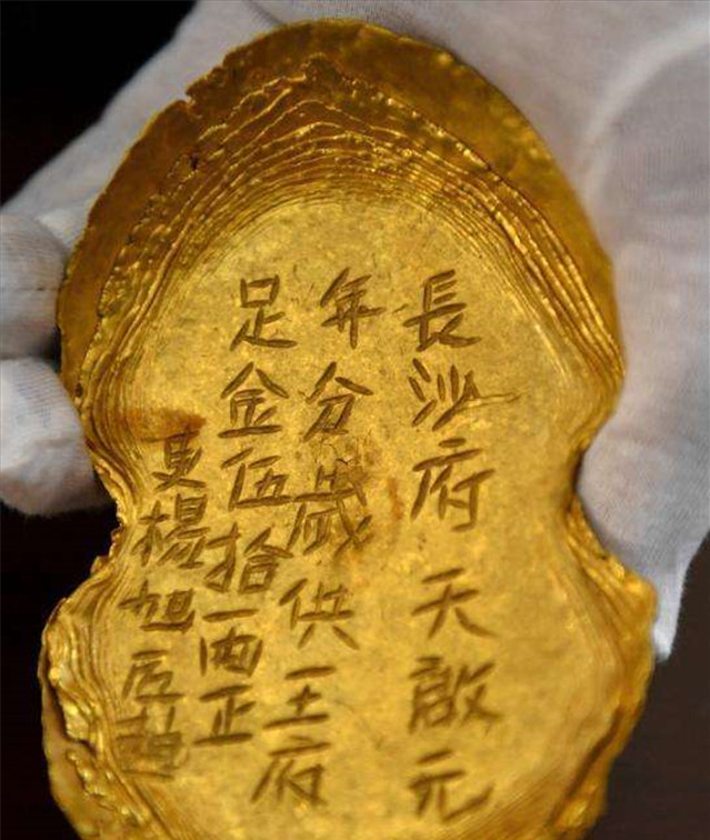 金老虎图片(2013年) - 赤虎壹号