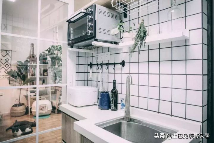 37㎡超小户型，住下“一家五口”再带一个小花园