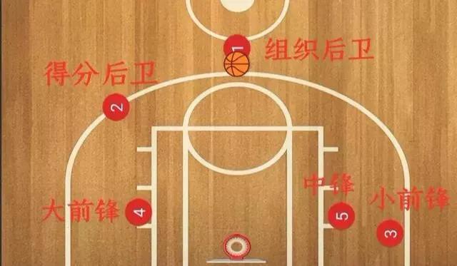 nba里面有哪些站呢(篮球1-5号位站位图)