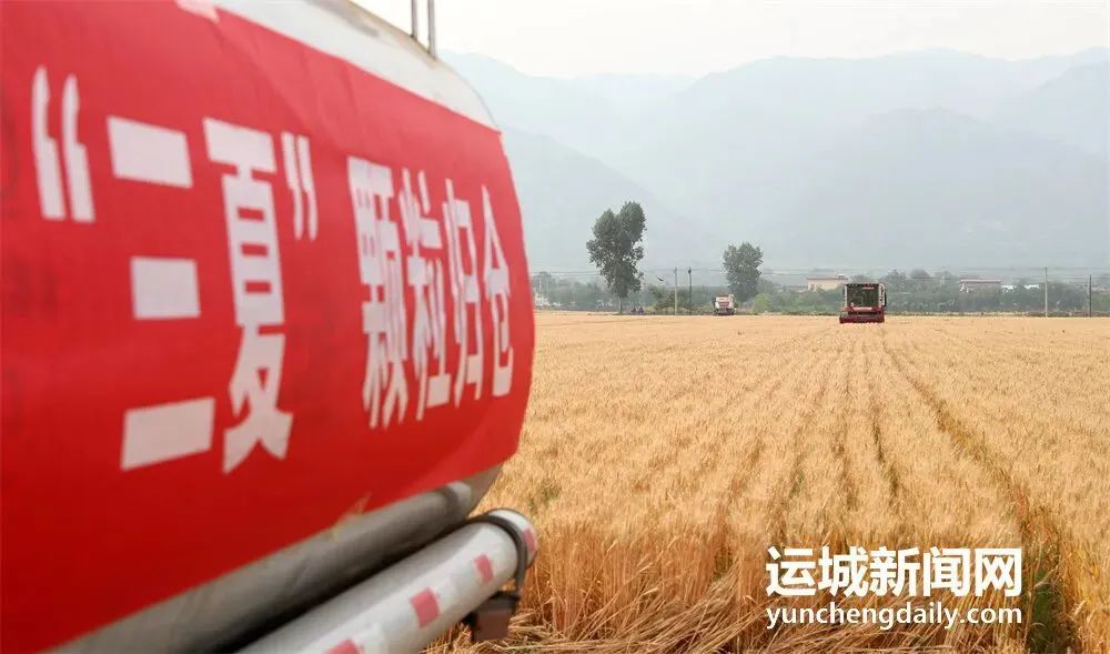 運(yùn)城市“早”字當(dāng)頭做好小麥機(jī)收工作