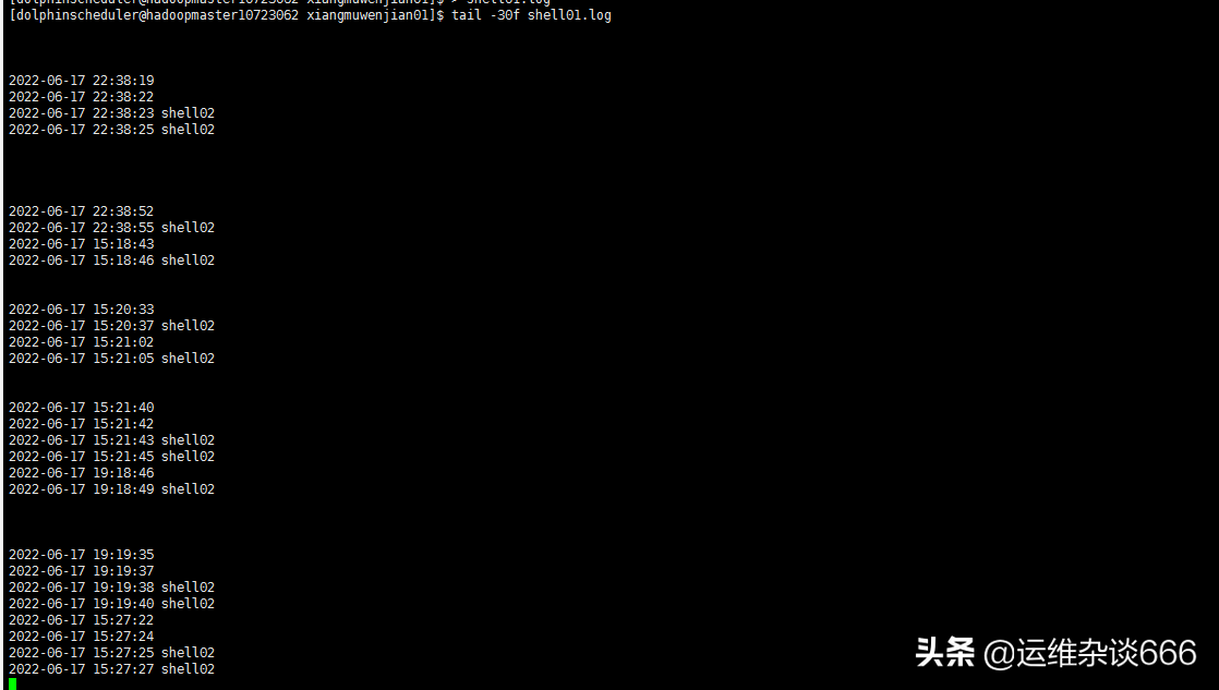 DolphinScheduler安装部署并使用「详细」