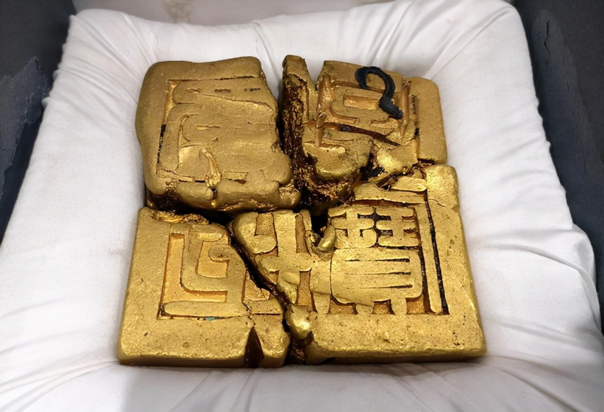 金老虎图片(2013年) - 赤虎壹号