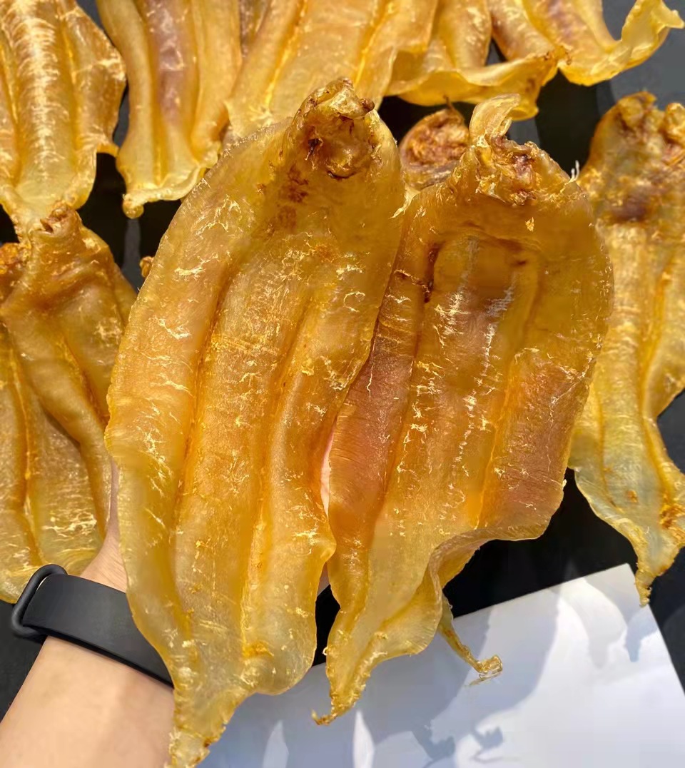 土鳘赤嘴胶:继赤嘴鳘鱼胶之后,最受追捧的鱼胶之一