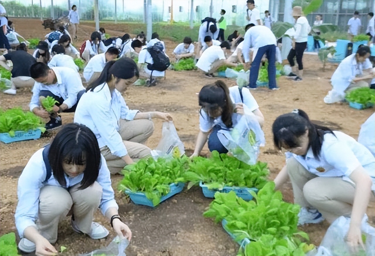 曾经挤破脑袋要进入的985，如今却“门可罗雀”，真是悲催