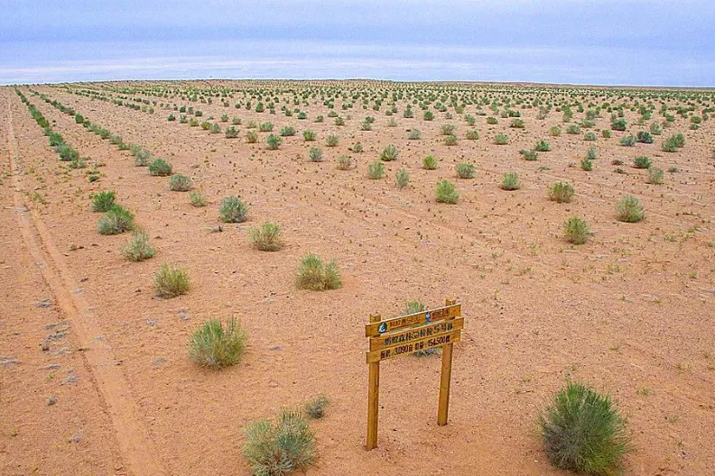 马云曾被质疑“作秀”，要在沙漠种1亿棵树，6年已过，兑现了吗？