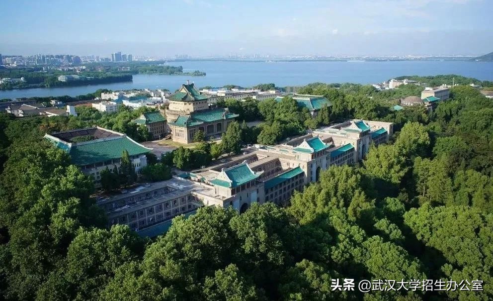 武汉大学3位教授获“最高规格”聘任，享受院士同等待遇！都是湖北本地人！