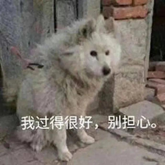 我不困我还能熬表情包