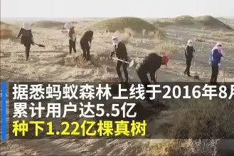 马云曾被质疑“作秀”，要在沙漠种1亿棵树，6年已过，兑现了吗？