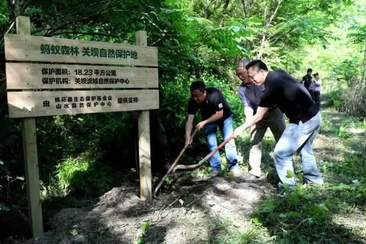 马云曾被质疑“作秀”，要在沙漠种1亿棵树，6年已过，兑现了吗？