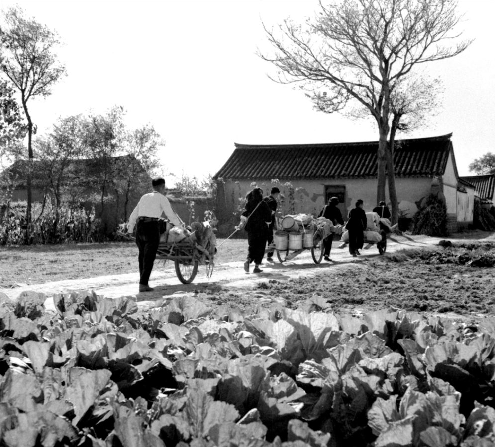 1971年，河北农村会计与村妇日久生情杀害其夫，3年破案百人挖尸