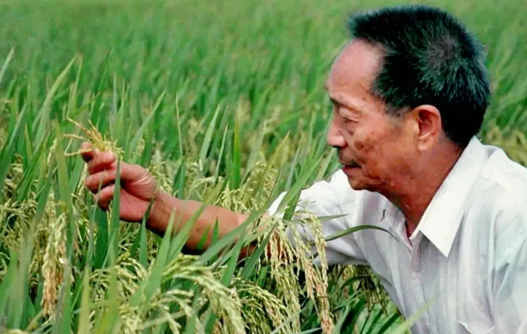 盘点未来前景光明的五大专业，男生女生均适合，薪资待遇良好