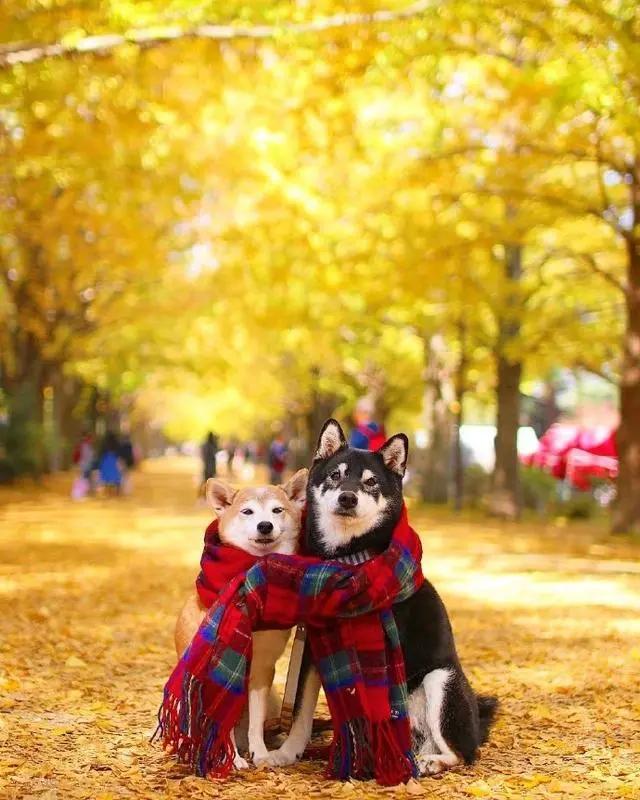 触动男人内心深处的情感语录