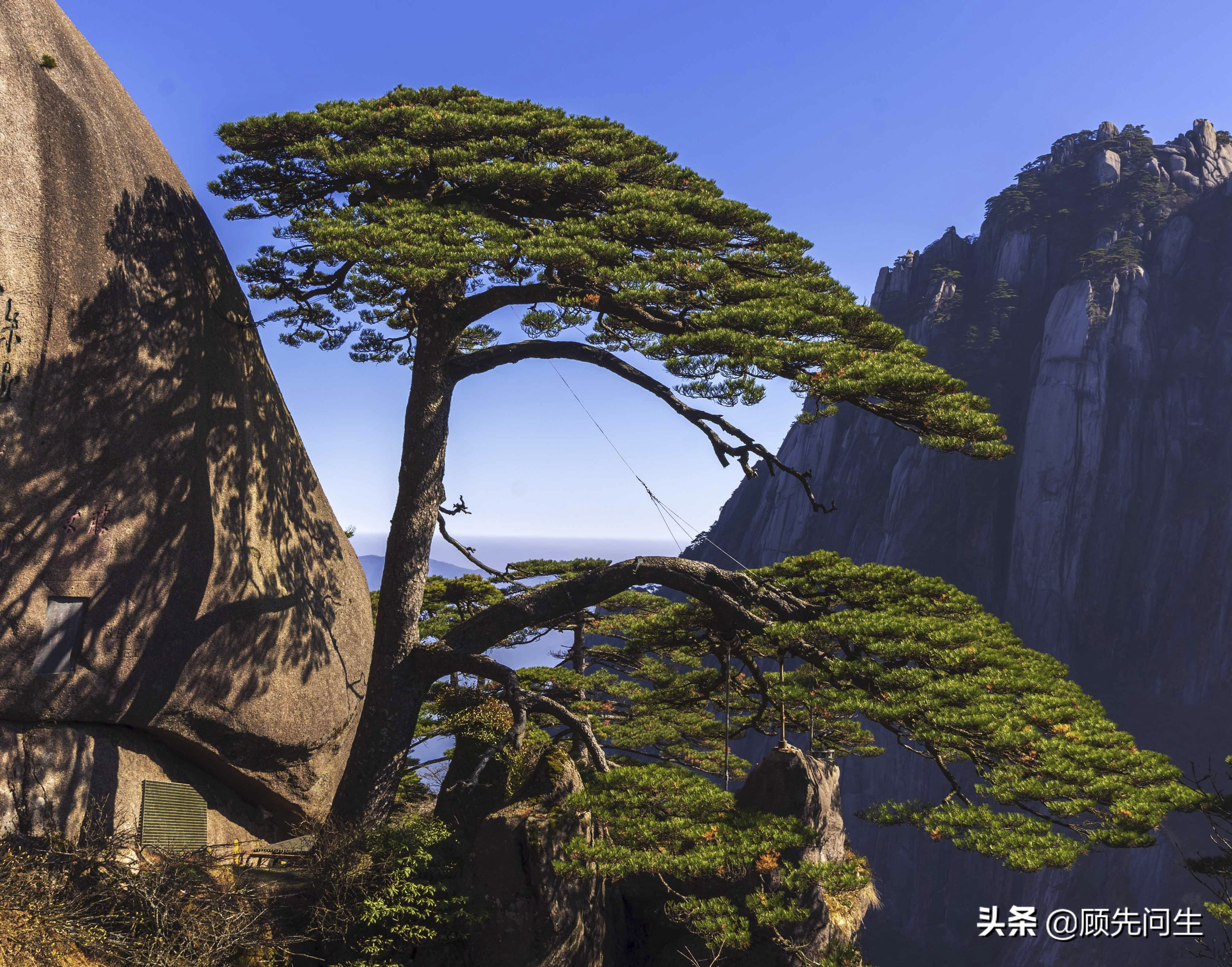 高考倒计时，盘点那些年我们用过的励志诗句