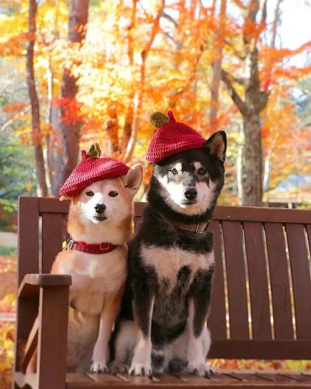 触动男人内心深处的情感语录