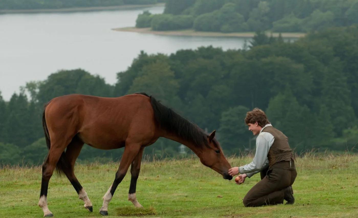 《战马》人与动物的温情和信任