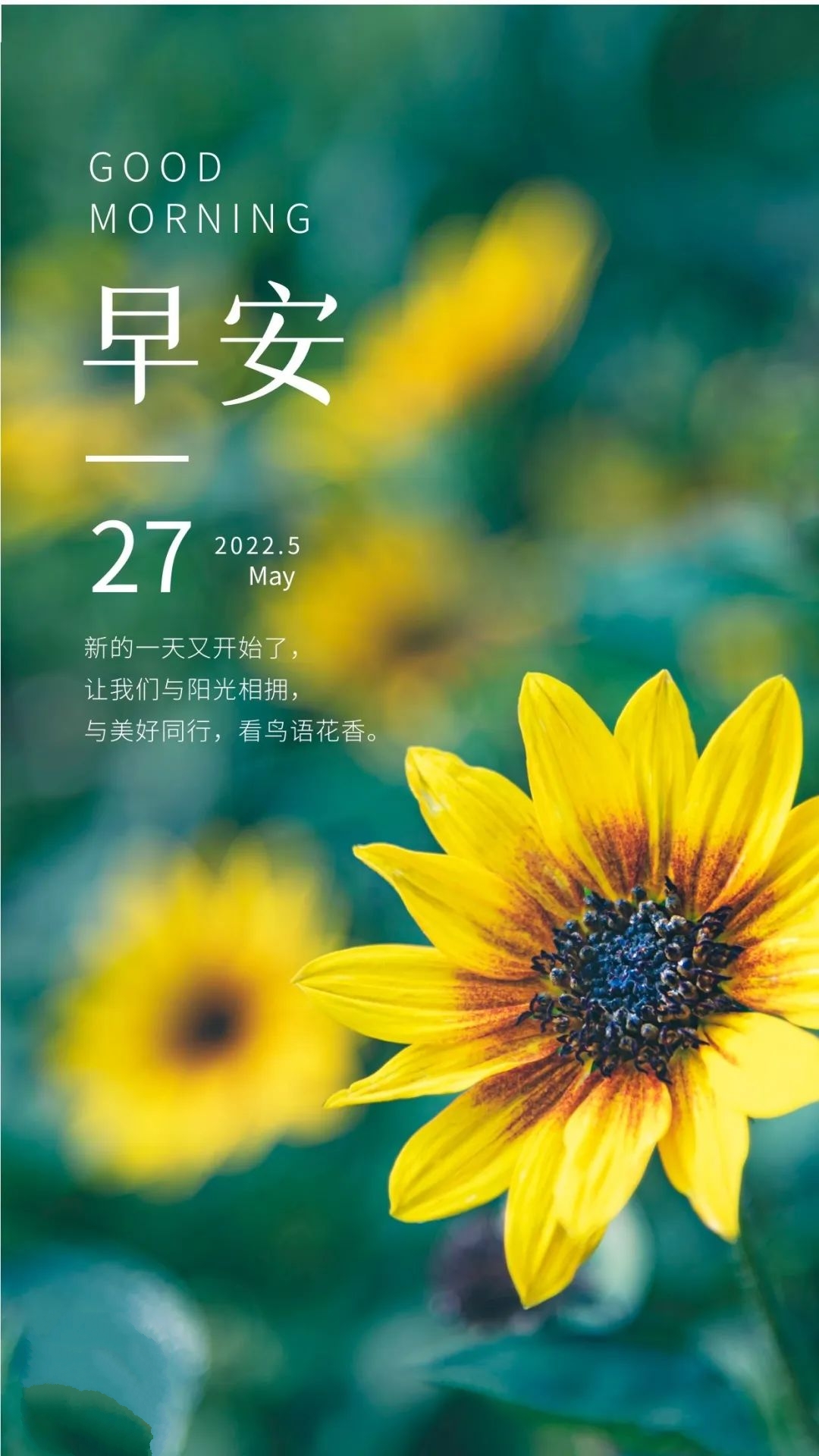 在qq空间怎么把说说弄成既带图片又带文字的?