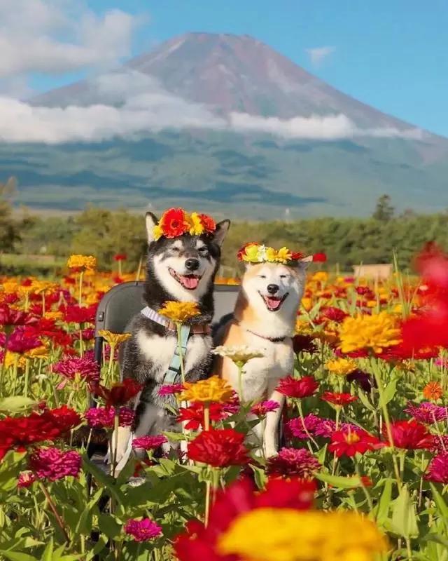 触动男人内心深处的情感语录