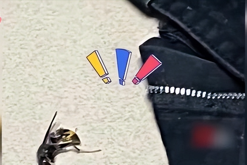 回顾：春暖花开，女大学生穿裤子遭马蜂蜇，被蛰部位纹身引发热议