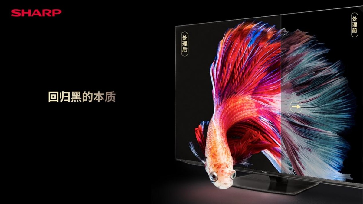 采用全新显示技术，夏普AQUOS XLED4K旗舰电视发布