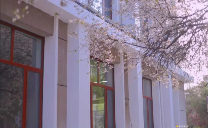 考研神校！曲阜师范大学2022年统考240文化成绩需要多少分？