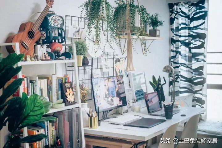 37㎡超小户型，住下“一家五口”再带一个小花园