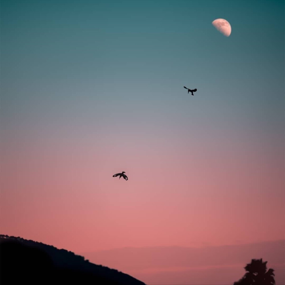 黄昏时，最适合发朋友圈的50句绝美诗句（建议收藏）