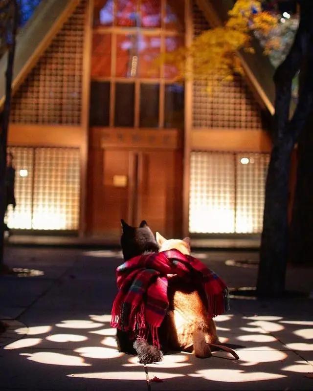 触动男人内心深处的情感语录