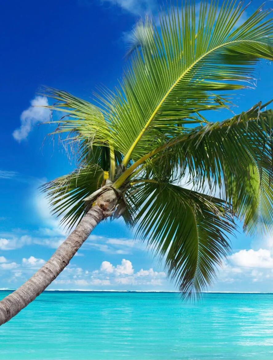 治愈走心风景旅游好心情文案