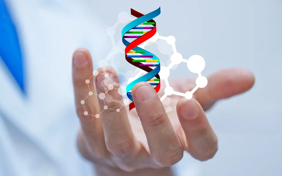 盘点未来前景光明的五大专业，男生女生均适合，薪资待遇良好