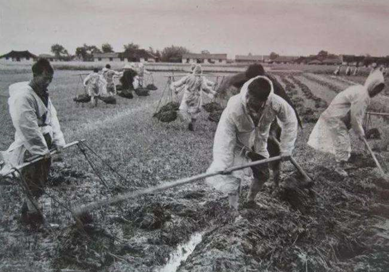 1971年，河北农村会计与村妇日久生情杀害其夫，3年破案百人挖尸