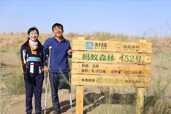 马云曾被质疑“作秀”，要在沙漠种1亿棵树，6年已过，兑现了吗？