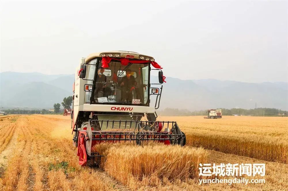 運(yùn)城市“早”字當(dāng)頭做好小麥機(jī)收工作