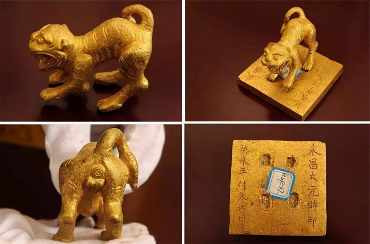 金老虎图片(2013年) - 赤虎壹号