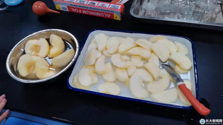 酿酒、种树、煮番茄酱！湖北这所高校“花式课堂”紧跟教育部要求