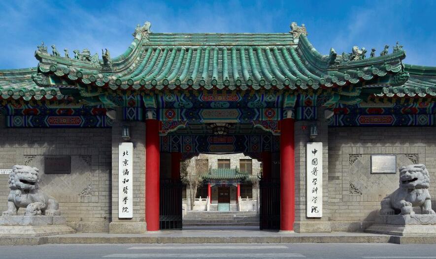 医学专业分两类，报考策略差别大，就业方向各不同