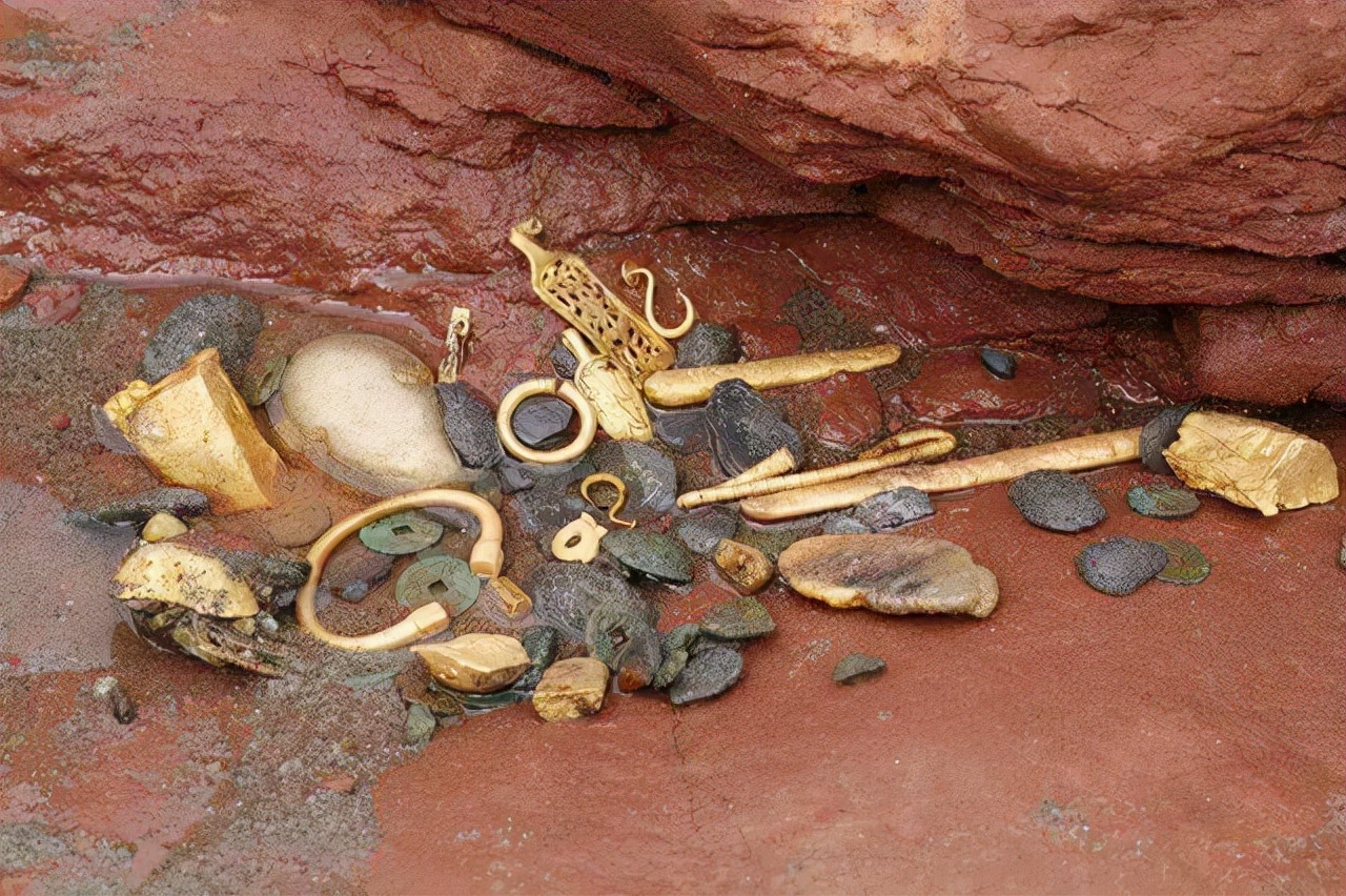 金老虎图片(2013年) - 赤虎壹号