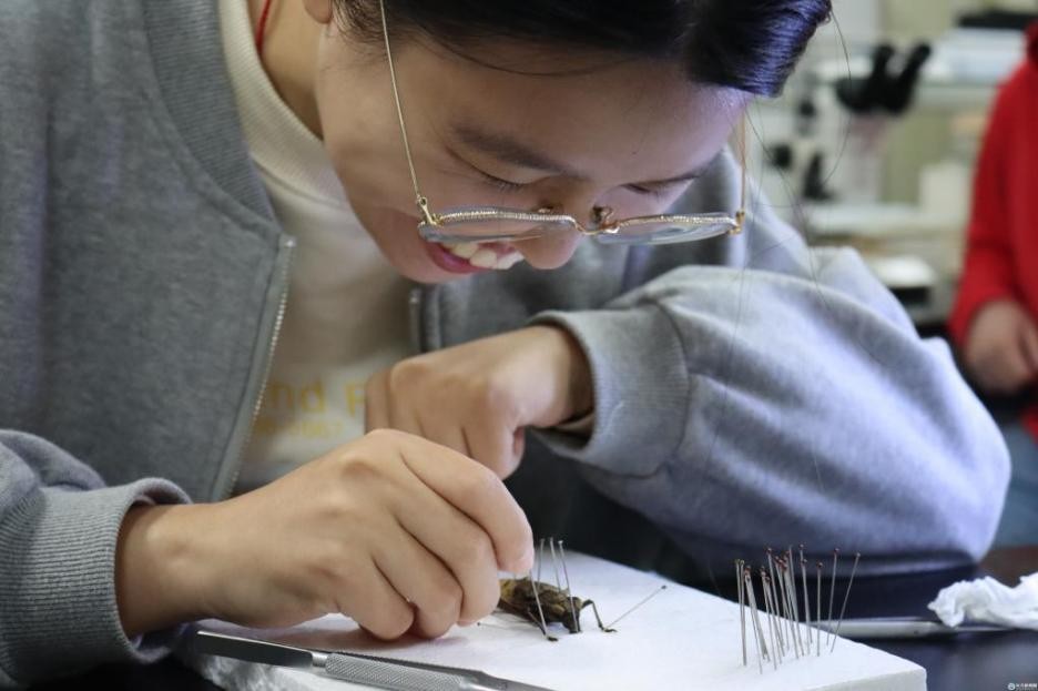 酿酒、种树、煮番茄酱！湖北这所高校“花式课堂”紧跟教育部要求