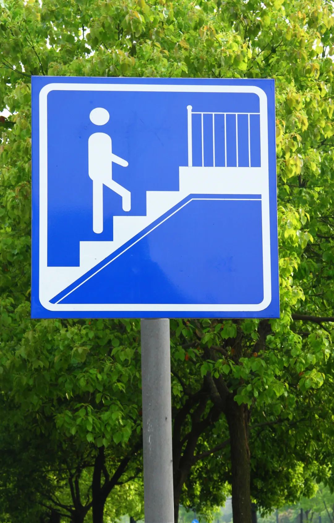 城市设计|公园里的标识系统在传递什么?