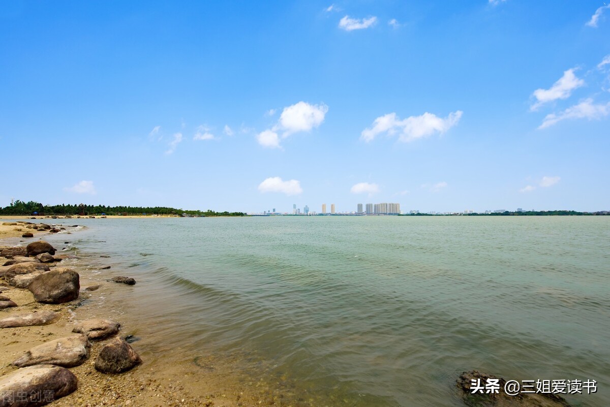 疲惫的生活，总需要一些温柔的安慰