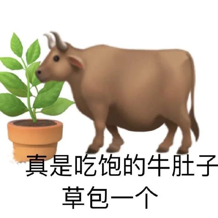 我不困我还能熬表情包