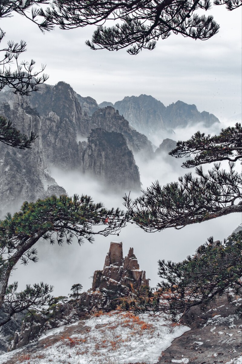 一日－诗《寻隐者不遇》赏析