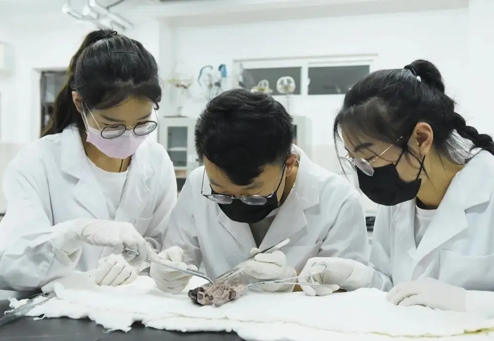 医学专业“幸福感”排名更新，中医学意外垫底，榜首你可能想不到